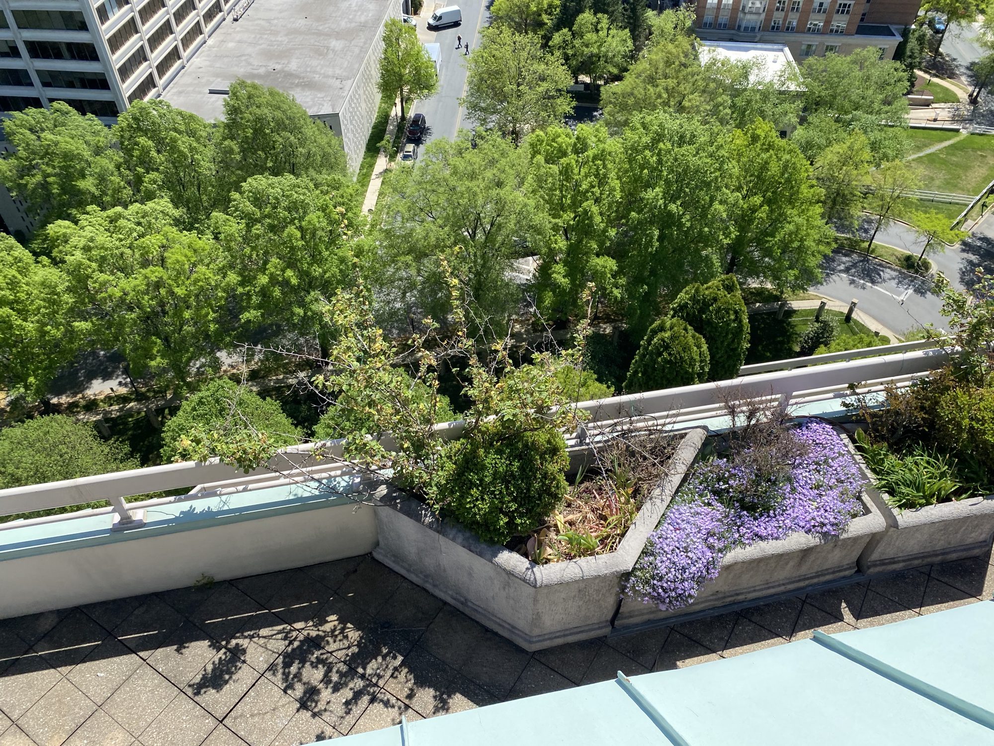 High-rise rooftop terrace with stone planters and flowering plants overlooking green treetops